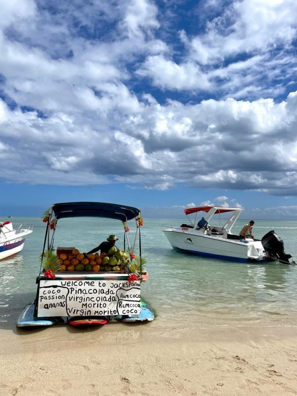 Benitier island (swim with dolphins) - Image 6