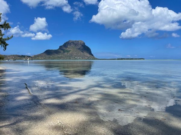 Benitier island (swim with dolphins) - Image 4