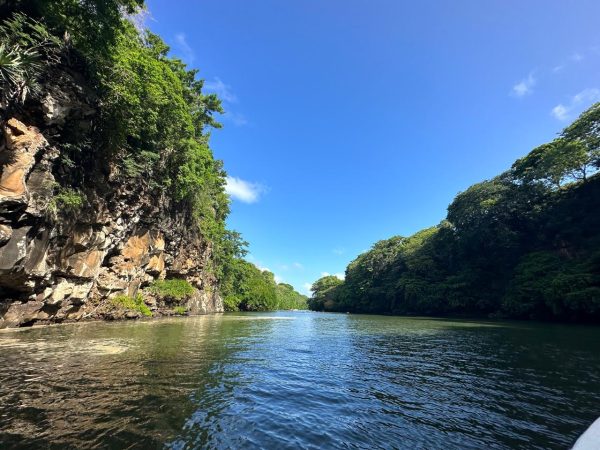 Ile aux Cerf - Image 3