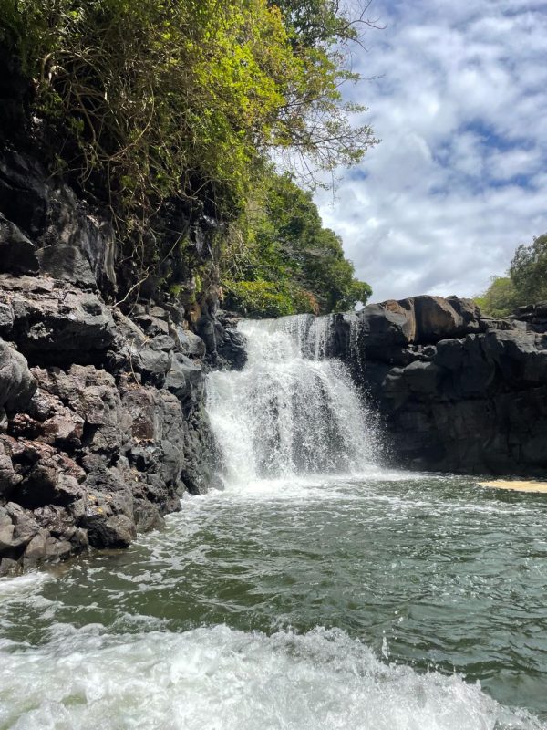 Ile aux Cerf - Image 4