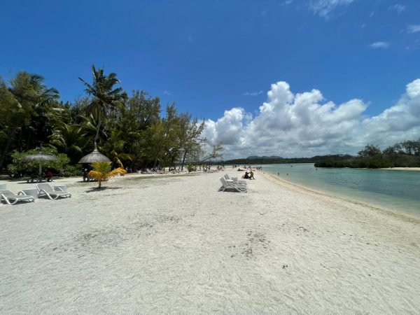 Ile aux Cerf - Image 6