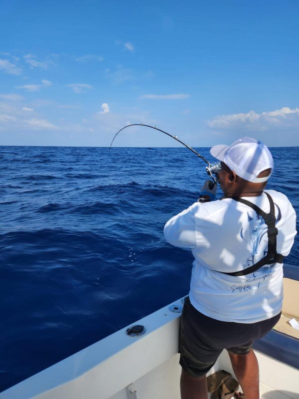 Inside Lagoon Fishing - Image 2