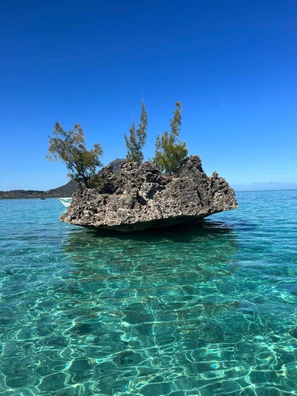 Benitier island (swim with dolphins)